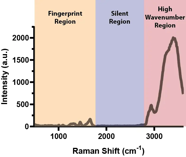 Insight into the Raman Spectrum