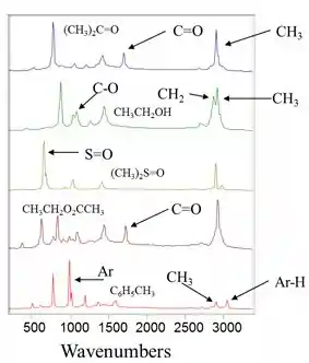 Raman Spectra of Various Molecules