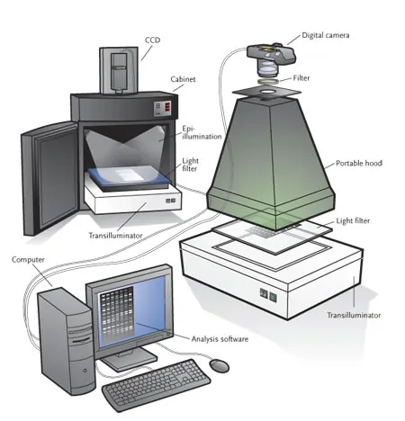A labelled diagram of Gel Imaging System